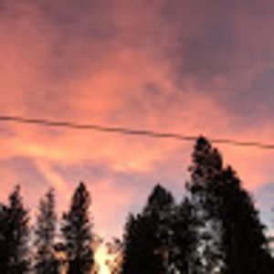 Meet your Posher, Olimpia